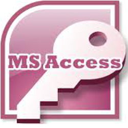 Microsoft Access database programmer Dallas TX
